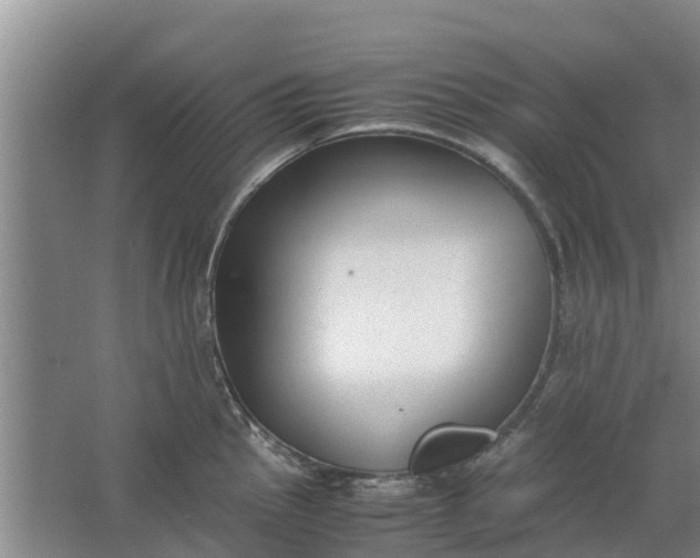 X0000062881145200601271615