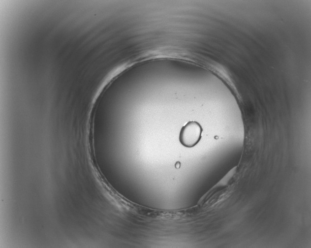 X0000062881146200601271615