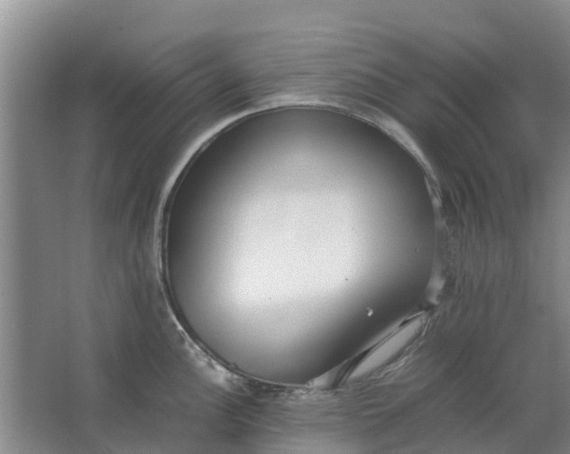 X0000062881148200601271615