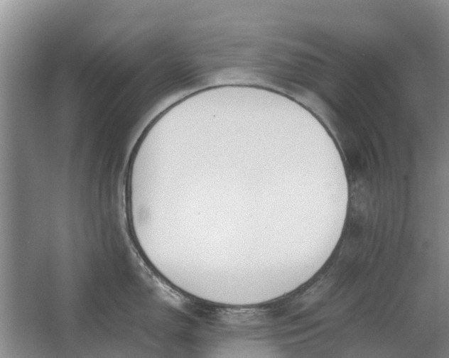 X0000062881150200601271615