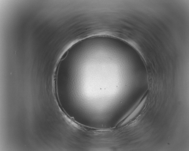 X0000062881151200601271615