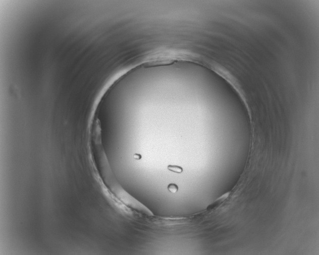 X0000062881152200601271615