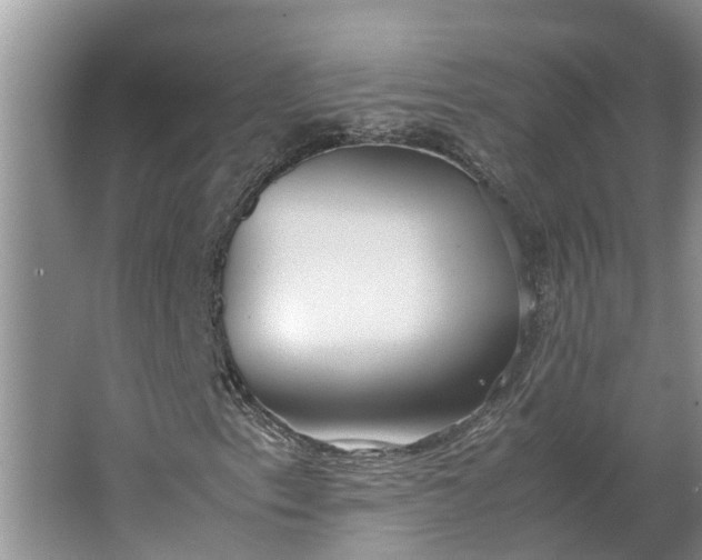 X0000062881153200601271614