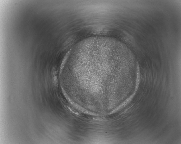 X0000062881154200601271614