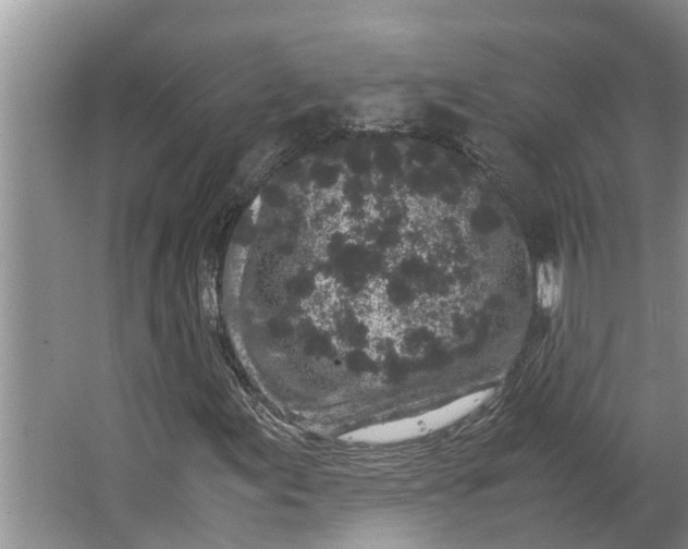 X0000062881155200601271614