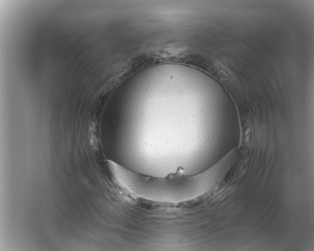 X0000062881156200601271614