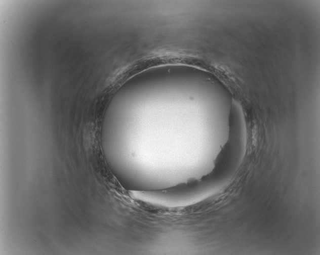 X0000062881157200601271614