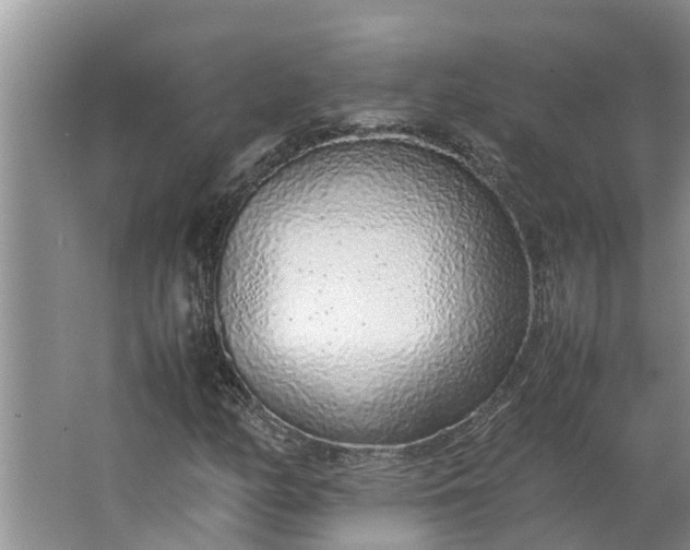 X0000062881158200601271614