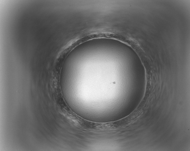 X0000062881159200601271614