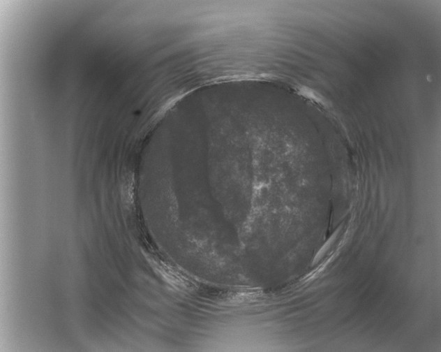 X0000062881161200601271614