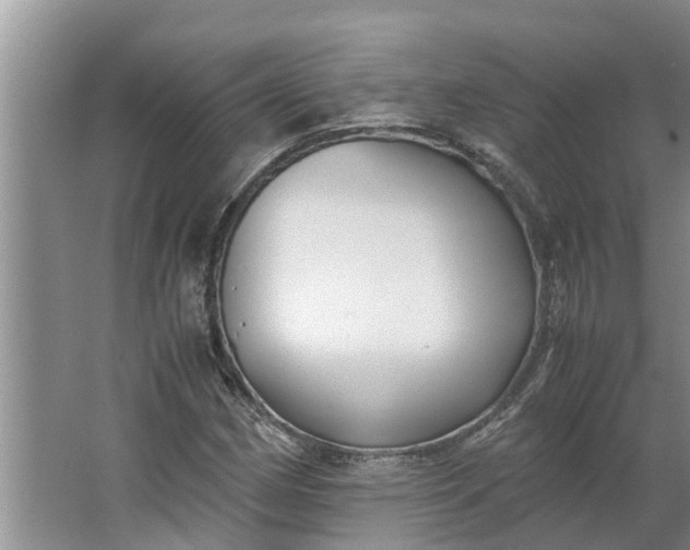 X0000062881162200601271614