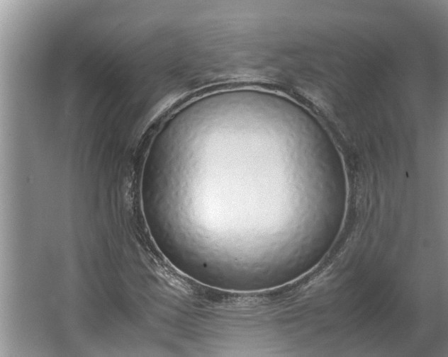 X0000062881163200601271614