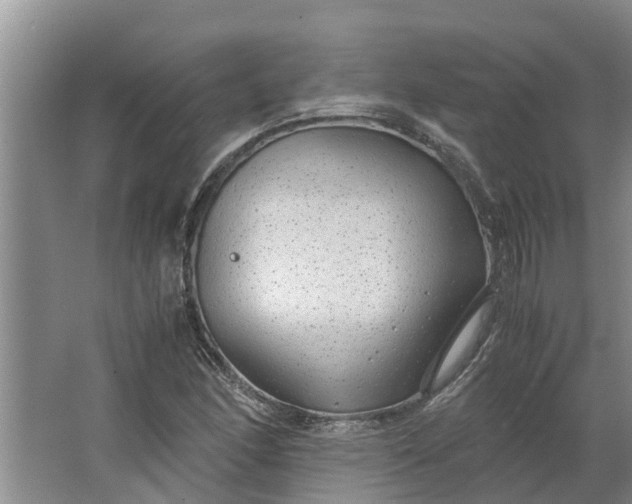 X0000062881166200601271614