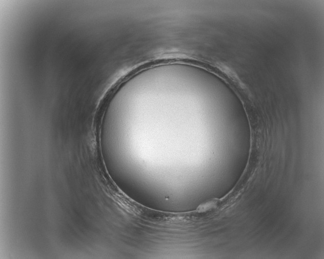 X0000062881167200601271614