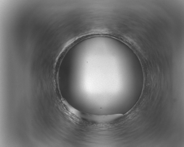 X0000062881168200601271614