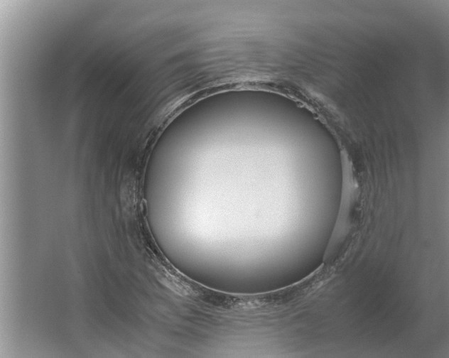 X0000062881169200601271614