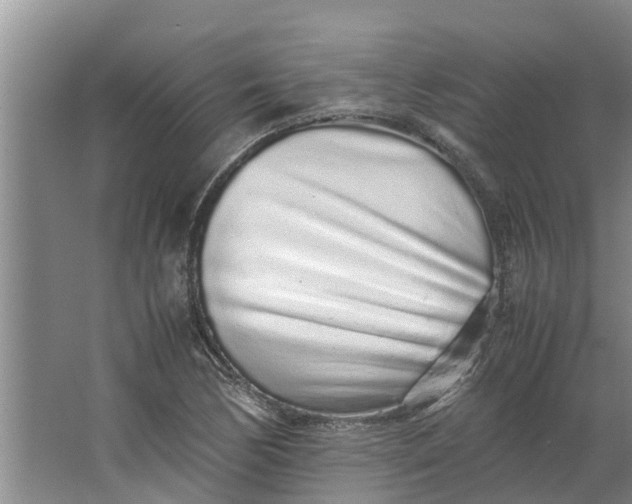 X0000062881170200601271614