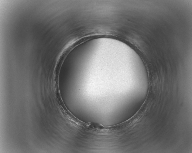 X0000062881172200601271614