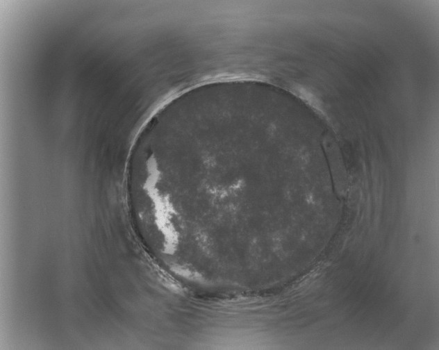 X0000062881173200601271614