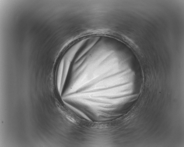 X0000062881174200601271614