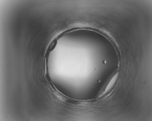 X0000062881175200601271614