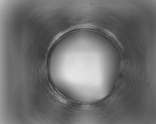 X0000062881176200601271614