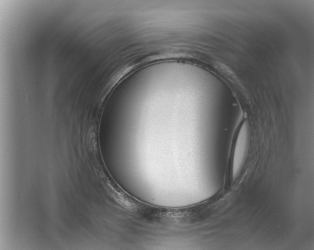 X0000062881177200601271614