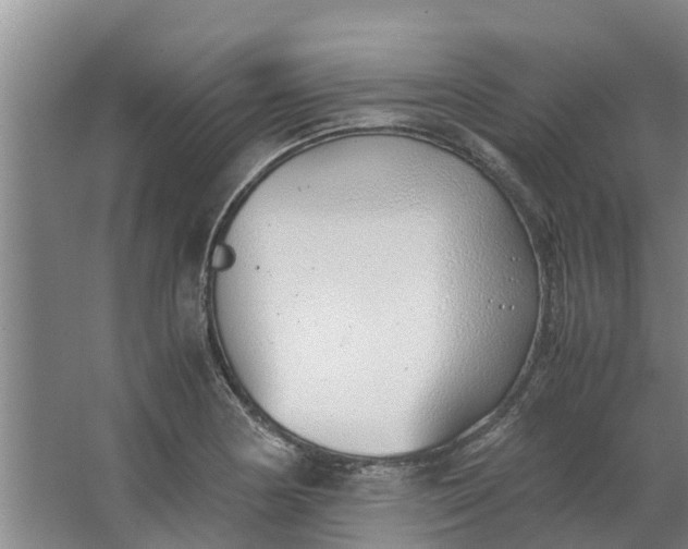 X0000062881178200601271614