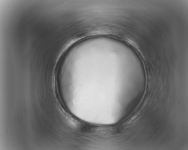 X0000062881179200601271614