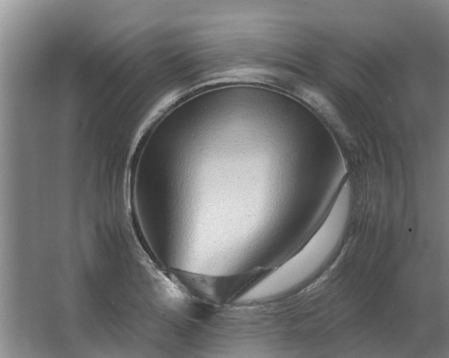 X0000062881180200601271614