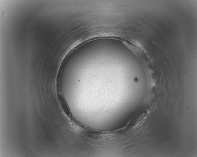 X0000062881181200601271614