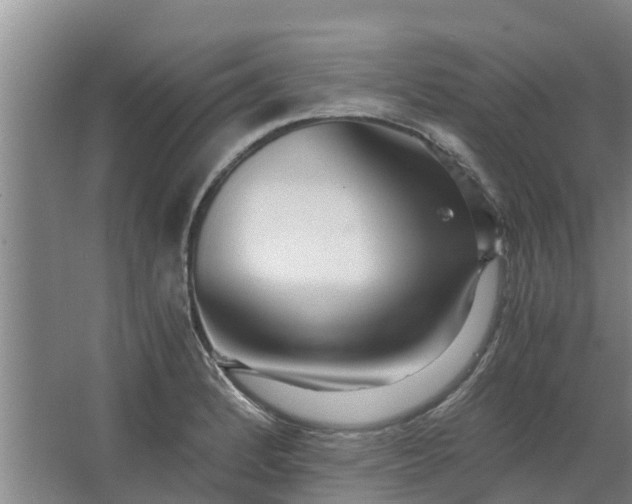 X0000062881184200601271614