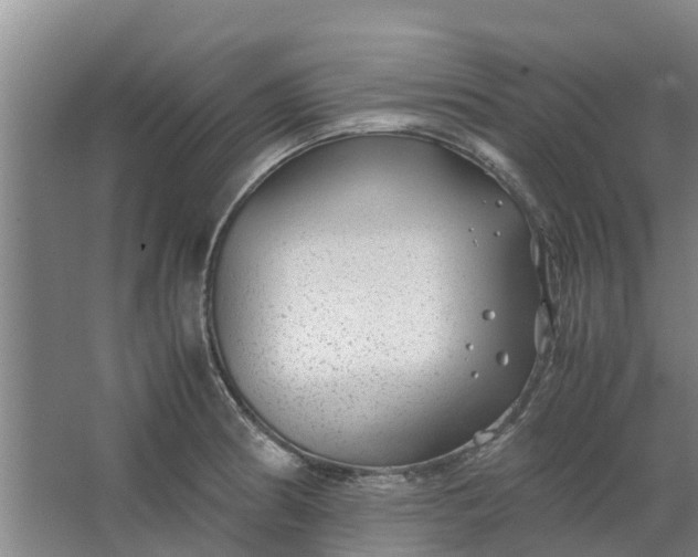 X0000062881186200601271614