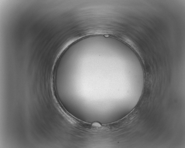 X0000062881187200601271614