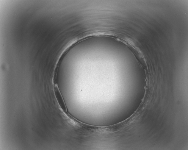 X0000062881189200601271614