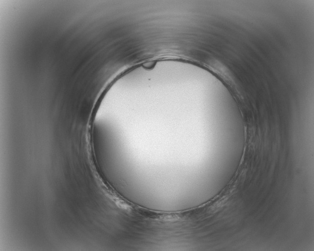 X0000062881190200601271614