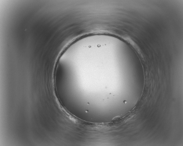 X0000062881191200601271614