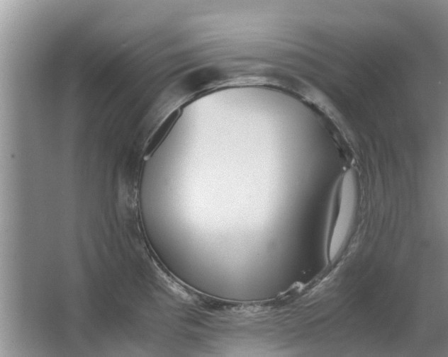 X0000062881193200601271614