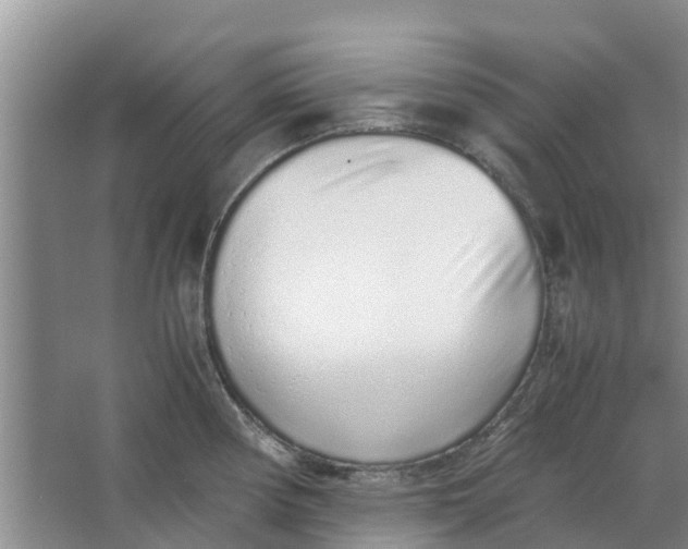 X0000062881194200601271614