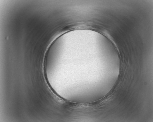 X0000062881195200601271614