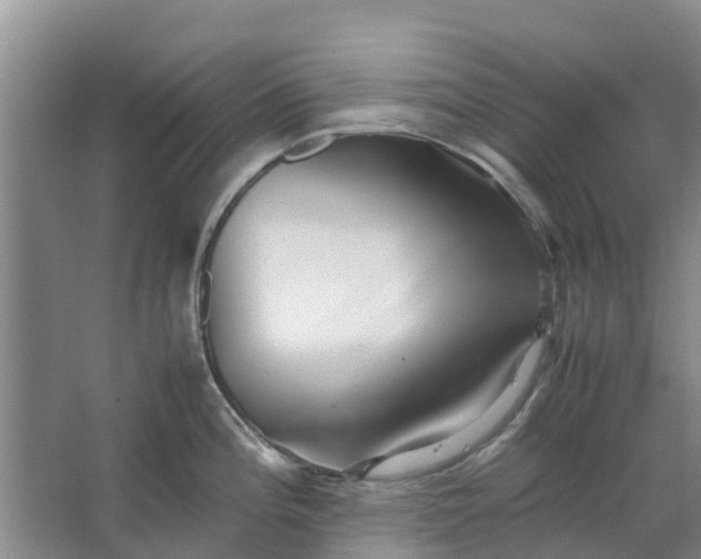 X0000062881196200601271613