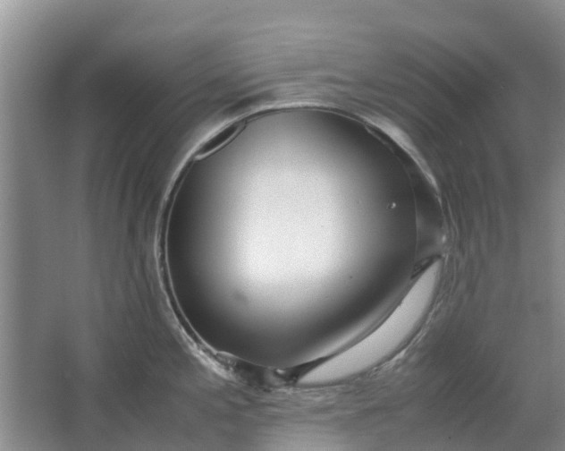 X0000062881197200601271613