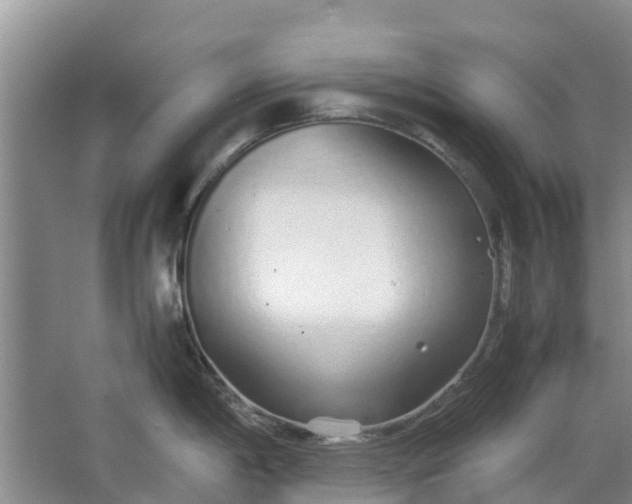 X0000062881198200601271613