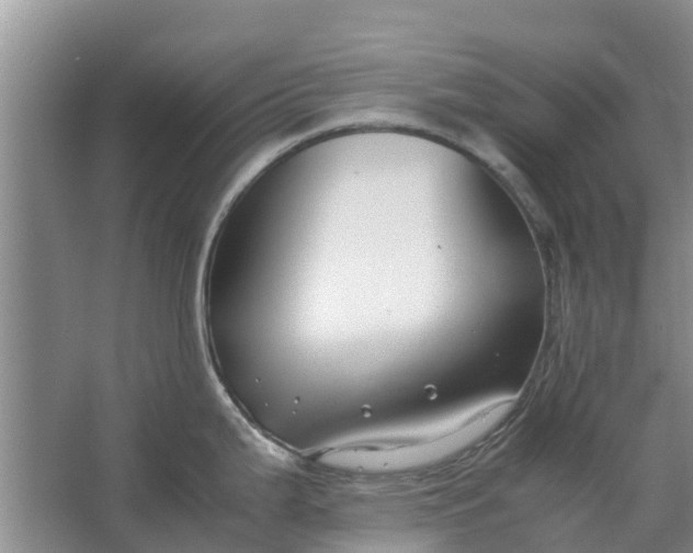 X0000062881199200601271613