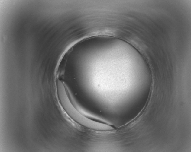 X0000062881200200601271613