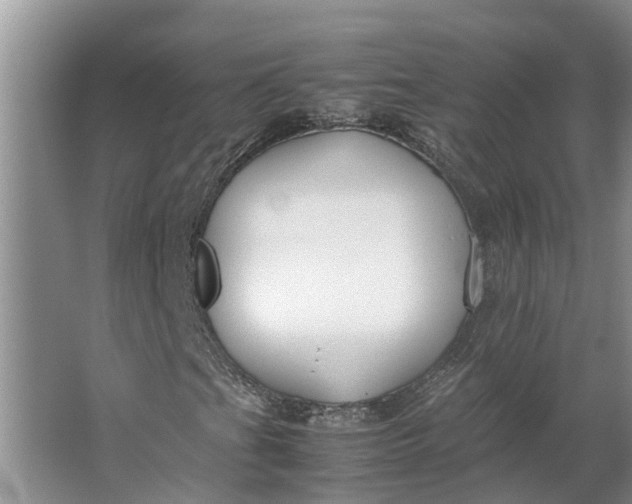 X0000062881201200601271613