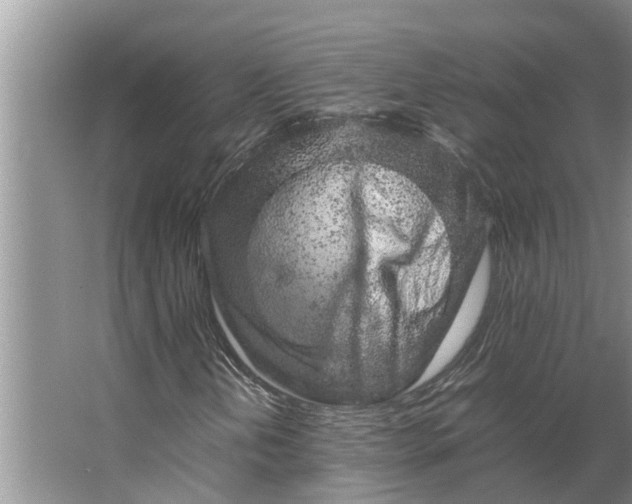 X0000062881202200601271613