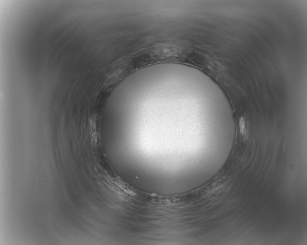 X0000062881203200601271613