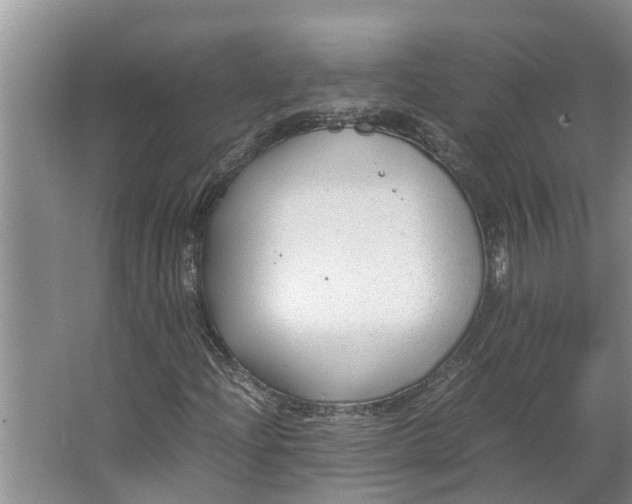 X0000062881204200601271613