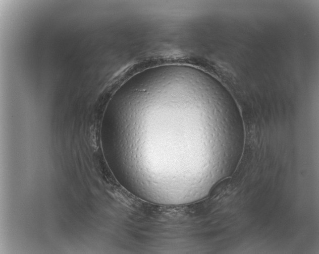 X0000062881205200601271613